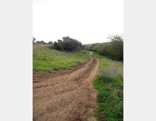 560-3513a27a79838af8591ef7cb5e42d56ejpg