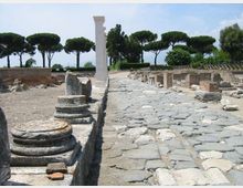 Veduta di un sito archeologico con strada lastricata in pietra e resti di colonne e muri bassi in muratura lungo i lati. Sullo sfondo si vedono alberi ad alto fusto e cielo aperto che incorniciano l’area delle rovine.