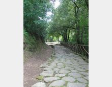 Sentiero nel bosco con pavimentazione in grandi pietre irregolari, affiancato da una staccionata in legno sul lato destro. Alberi fitti e vegetazione ombrosa circondano il percorso, che curva leggermente in lontananza.