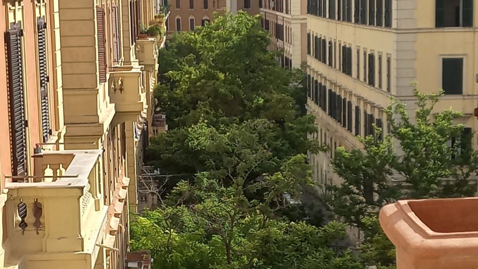 Veduta dall’alto di una strada urbana alberata tra palazzi residenziali in stile classico, con facciate color pastello, persiane scure e balconi. In primo piano si vede un parapetto in pietra e un vaso rettangolare in terracotta.