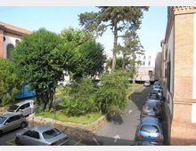 Cortile urbano con aiuola rialzata in pietra e alberi alti, affiancato da una strada asfaltata a senso unico con auto parcheggiate lungo un edificio in mattoni. Sullo sfondo si vedono altri edifici e vegetazione.