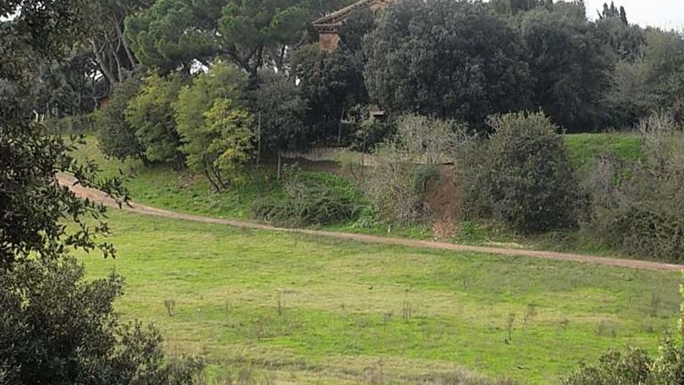 560-99058dcc1c7193f985a15dfe4c52df33jpg