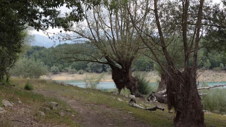 49506-photo-10-jpgjpg