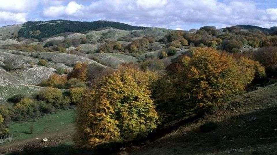 51844-photo-32156154dff1ca2edf2f30fecb24e38c-jpgjpg