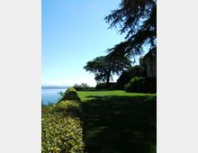 Giardino con ampio prato verde affacciato su un lago, delimitato da una siepe lungo il bordo. Grandi alberi sempreverdi proiettano ombre sul terreno e, a destra, si intravede il lato di un edificio tra la vegetazione sotto un cielo sereno.