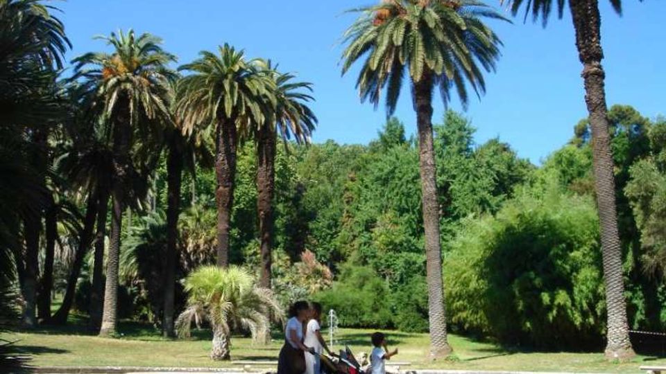 Parco urbano con ampio vialetto chiaro e fontanella centrale, circondato da alte palme e vegetazione fitta. Sullo sfondo si vedono alberi e cespugli verdi sotto un cielo sereno.