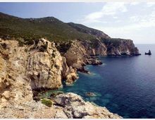 51866-photo-df58cfca41575abb205a91dfd0f25a02-jpgjpg