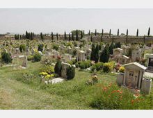 Cimitero all’aperto su un pendio erboso, con numerose lapidi e piccoli monumenti in pietra disposti in file tra cespugli e fiori. Sullo sfondo si vedono filari di cipressi e un muro lungo il perimetro.