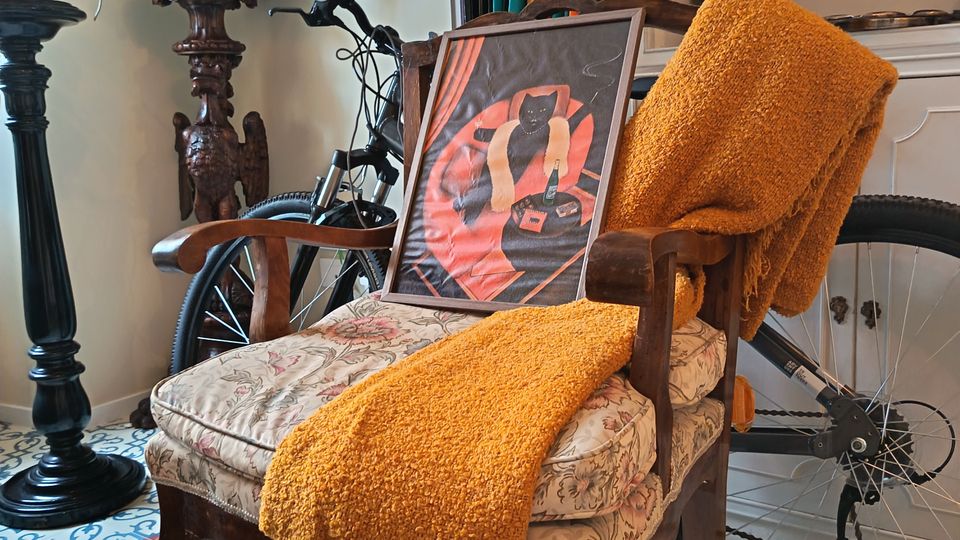 Interno domestico con poltrona in legno e seduta imbottita, coperta arancione e quadro appoggiato. Sullo sfondo scaffali bianchi con libri, una bicicletta, piante e lampade, su pavimento in piastrelle decorative blu e bianche.
