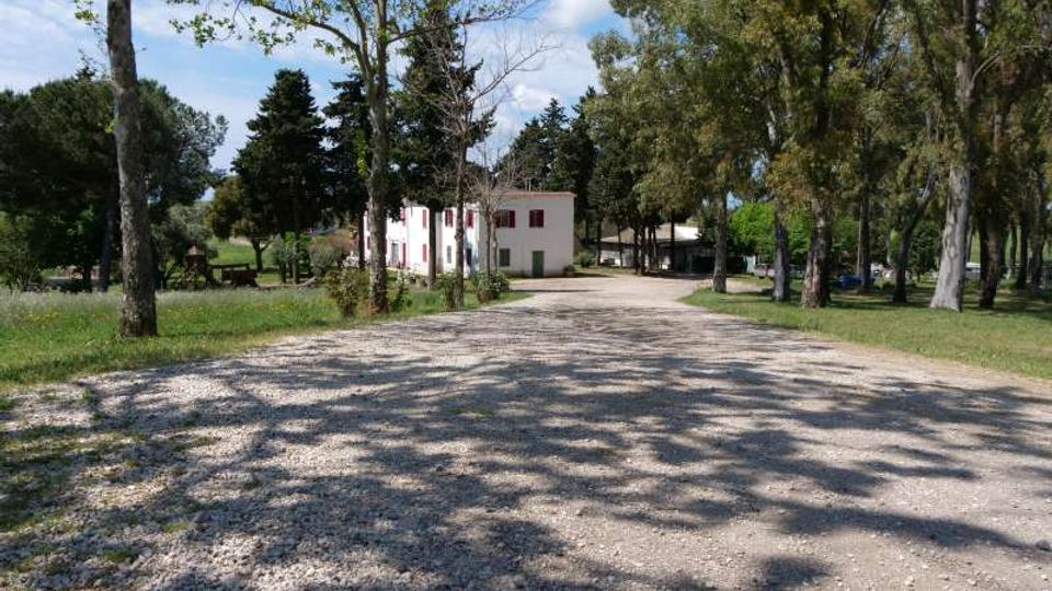 Strada sterrata in ghiaia che attraversa un’area alberata, con alberi alti ai lati e ombre sul terreno. Sullo sfondo si vedono alcuni edifici bassi chiari e spazi verdi circostanti.