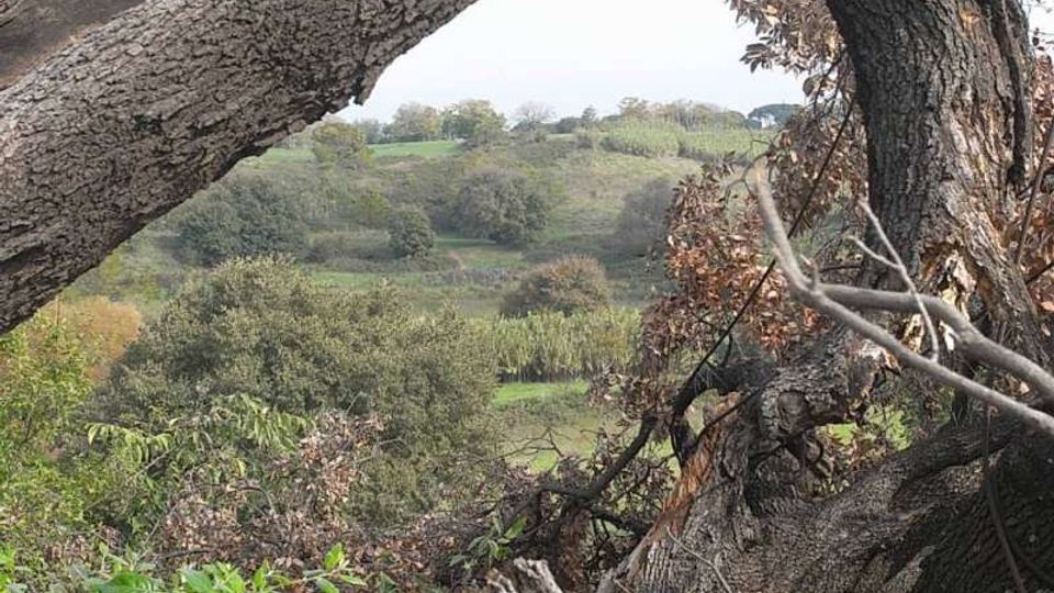 560-519b4467cba8c5892e7e5d8208532170jpg