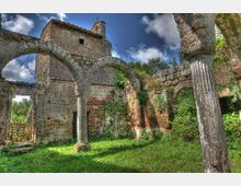 51811-photo-image-6-jpgjpg