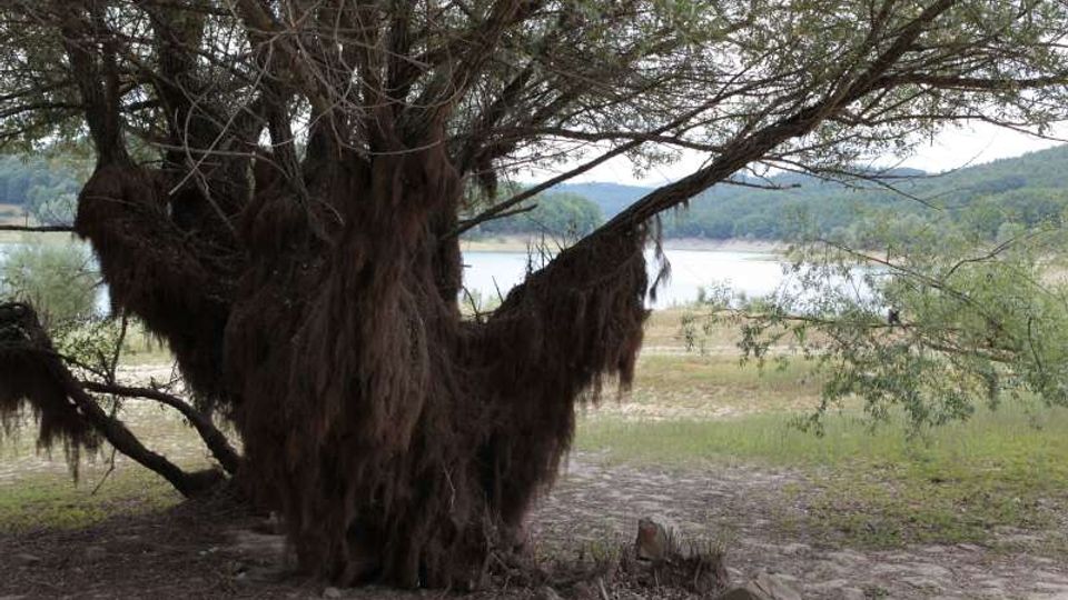 49510-photo-11-jpgjpg