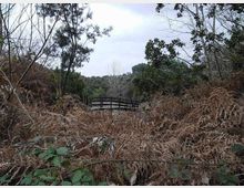 612-5d3f484861a47aa3b3f35e9ecc2575d2jpg