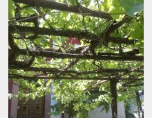 56824-photo-080620146374-jpgjpg