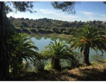 Veduta di un lago o bacino d’acqua verde-azzurra circondato da vegetazione mediterranea, con palme in primo piano e alberi sulle colline sullo sfondo. Il paesaggio è ripreso da un punto rialzato, con rami di pini che incorniciano la parte superiore dell’immagine.