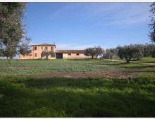 Cascina di campagna con edificio intonacato color salmone e tetto in coppi, affiancato da annessi bassi, in mezzo a un campo coltivato. Intorno si vedono ulivi e una strada sterrata sotto un cielo sereno.