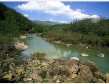 52576-photo-riserva-di-monte-rufeno-2-jpgjpg