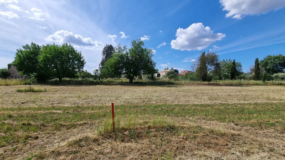 Ampio campo erboso appena falciato in area rurale, con un paletto rosso in primo piano e una fila di alberi lungo il margine. Sullo sfondo si vedono alcune case oltre una recinzione, sotto un cielo azzurro con nuvole sparse.
