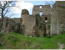 Rovine di un castello in pietra su un pendio erboso, con mura parzialmente crollate e aperture rettangolari e ad arco ancora visibili. Attorno si vedono alberi spogli e un sentiero che passa vicino alle strutture.