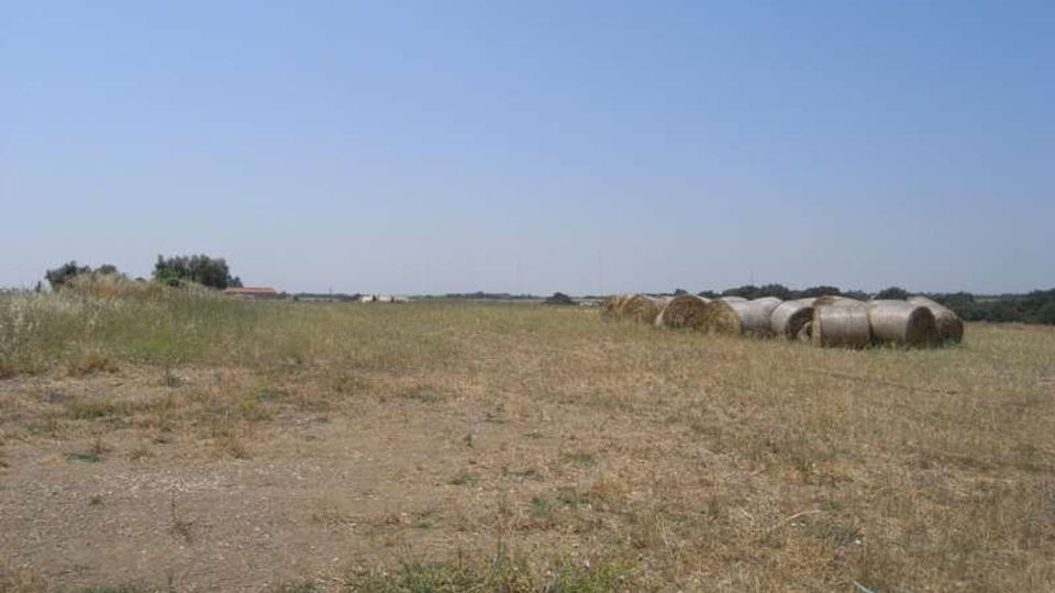 Campo agricolo pianeggiante con erba secca e terreno spoglio in primo piano, sotto un cielo sereno. Sul lato destro sono visibili rotoballe di fieno allineate, con una linea di alberi e costruzioni basse all’orizzonte.