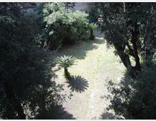 Area verde all’aperto con prato e diverse piante, tra cui alberi ad alto fusto e piccole palme, che creano zone d’ombra. Sullo sfondo si intravede un muro in pietra che delimita lo spazio.