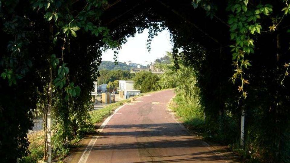 Strada asfaltata che curva dolcemente, vista attraverso un tunnel naturale formato da una pergola ricoperta di vegetazione e rampicanti. Ai lati si notano alberi e cespugli, con alcune strutture e campi visibili in lontananza.