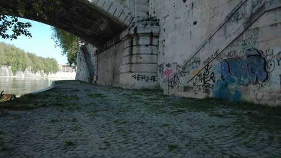 1101-647b6691ff4f5b547c02215b3b3de827jpg