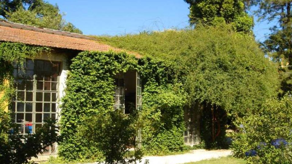 Edificio basso con tetto in tegole e grandi finestre a riquadri, in parte coperto da edera e vegetazione rampicante. Davanti c’è un giardino con prato, cespugli e alberi sotto un cielo sereno.