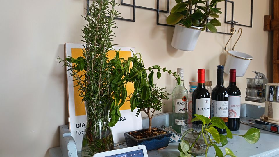 Angolo di cucina su un piano d’appoggio azzurro con piante e erbe aromatiche in vasi, bottiglie di vino e una macchina da caffè; sulla parete chiara ci sono mensole geometriche in metallo con piccoli contenitori appesi.