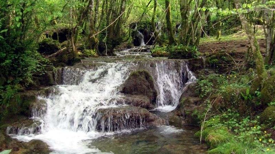 53525-photo-il-primo-re-parco-dei-monti-simbruini-manziana-rm-1-jpgjpg