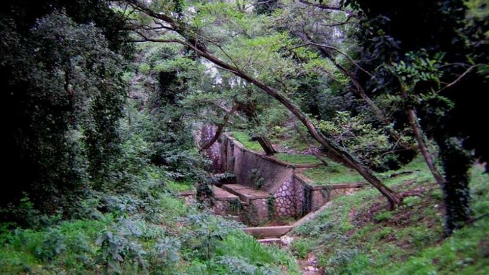 51863-photo-4212248f15644166c6063ab57127be60-jpgjpg