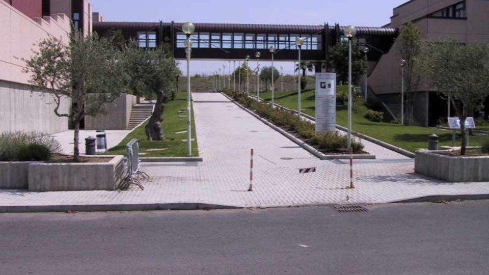 Viale pedonale pavimentato tra edifici moderni, fiancheggiato da prati, alberi in aiuole e lampioni. In fondo al percorso un passaggio sopraelevato vetrato collega due strutture, con segnaletica informativa al centro.