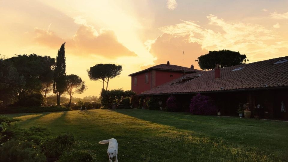 Giardino con ampio prato e piante in vaso, circondato da alti pini e cipressi, con una casa di campagna in muratura rossa e tetto in tegole sul lato destro. Sullo sfondo cielo al tramonto con nuvole illuminate.