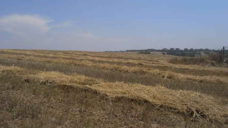 Ampia distesa di campi di stoppie e fieno secco con terreno brullo e ondulato. All’orizzonte si vede una linea di alberi e poche strutture lontane sotto un cielo azzurro.
