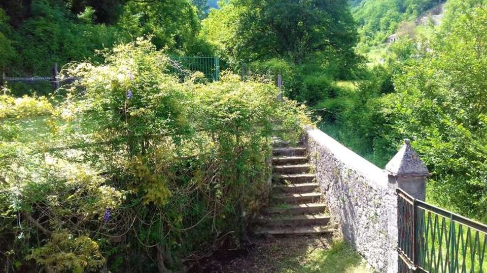 56829-photo-20210525-151050-jpgjpg