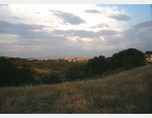 51911-photo-parco-del-pineto-jpgjpg