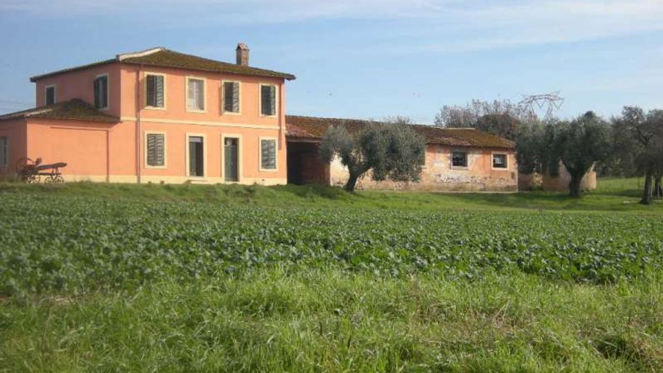 Casa colonica di campagna a due piani con facciata color pesca e persiane verdi, affiancata da un edificio rustico più basso. Davanti si estende un ampio campo erboso coltivato con alcuni ulivi, sotto un cielo sereno.