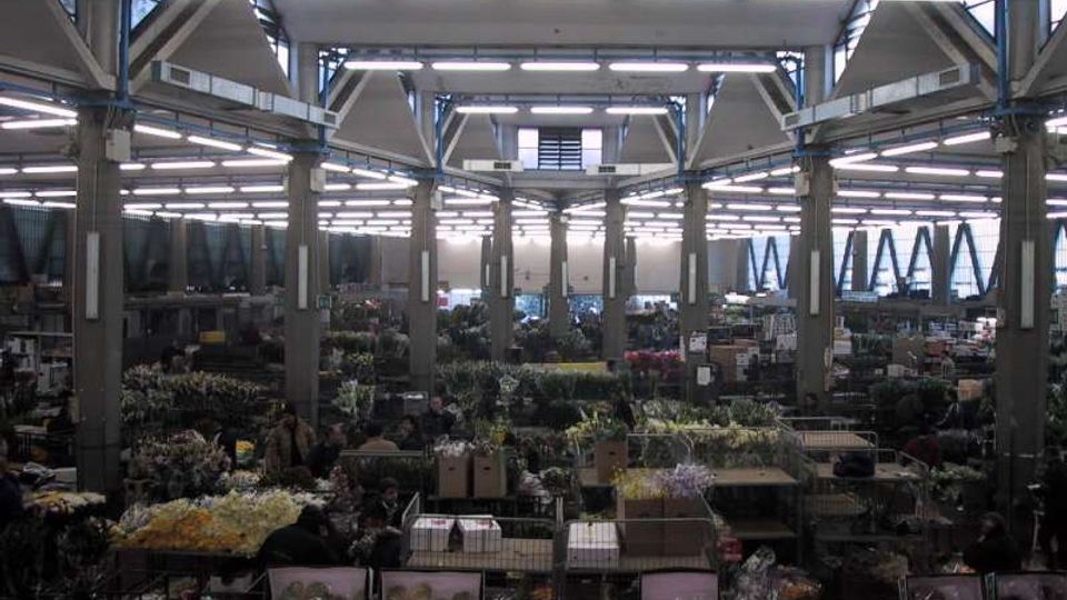 Ampio capannone industriale con soffitto alto, travi metalliche e file di luci fluorescenti, sostenuto da colonne in cemento. Lo spazio interno è organizzato in corsie con bancali, contenitori e numerosi mazzi di fiori e piante, simile a un mercato o magazzino all’ingrosso.
