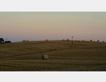 Campo agricolo ondulato con balle di fieno cilindriche sparse su un terreno appena mietuto. Sullo sfondo si vede l’orizzonte con tralicci elettrici e un cielo al tramonto dai toni rosati e azzurri.