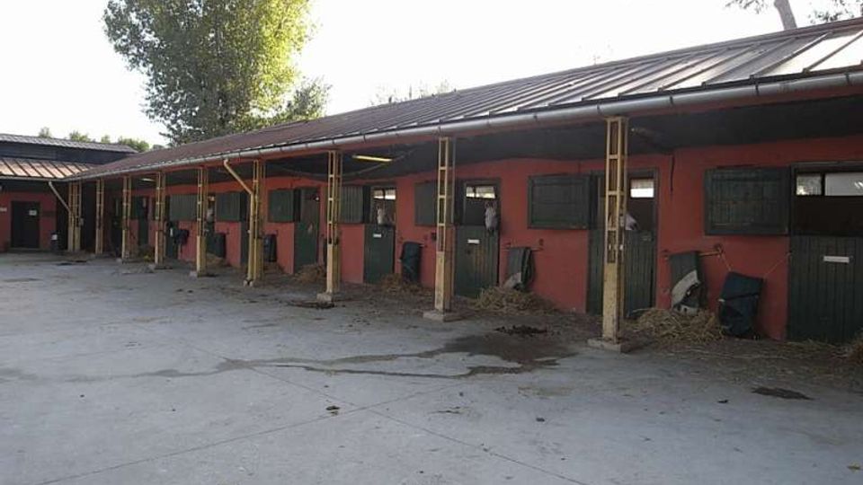Cortile di un maneggio con una lunga fila di box per cavalli in un edificio basso rosso, con porte verdi e tetto in lamiera sostenuto da pilastri. Davanti ai box c’è una pavimentazione in cemento con paglia e attrezzature appoggiate alle pareti, e alberi sullo sfondo.