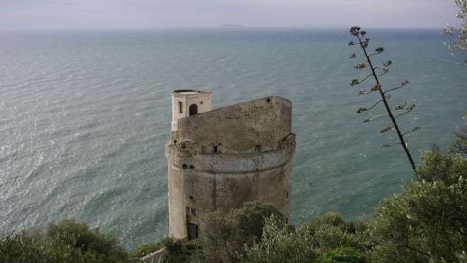Torre costiera in pietra, di forma cilindrica con sommità parzialmente crollata, affacciata su una scogliera con vegetazione mediterranea. Sullo sfondo si vede il mare aperto che si estende fino all’orizzonte sotto un cielo velato.