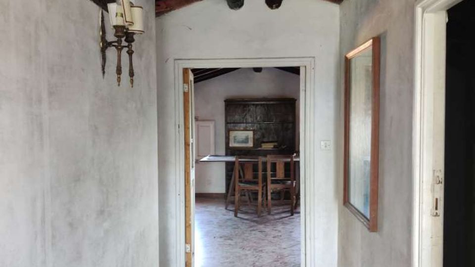 58070-photo-img-20210311-121721-jpgjpg