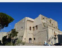 Castello o fortezza in pietra con mura alte e massicce, finestre ad arco e parte superiore merlata, situato su un lieve rialzo. In primo piano si vedono alberi e una strada con lampioni ai piedi dell’edificio, sotto un cielo azzurro limpido.