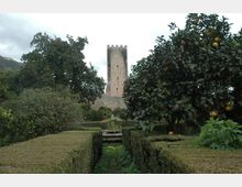 45050-photo-giardino-dsc-8027-jpgjpg