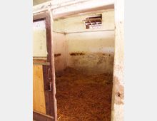 Interno di una stalla con box vuoto, pavimento coperto di paglia e pareti intonacate segnate da macchie e usura. Si vede una porta in legno e metallo a sinistra e una piccola finestra alta con grata per l’aerazione.