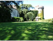 Ampio prato verde in un giardino alberato, con grandi conifere e siepi che delimitano l’area. Sullo sfondo si vedono edifici in pietra, tra cui una torre cilindrica merlata parzialmente coperta da edera.