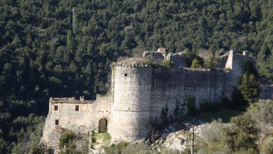 Rovine di un castello in pietra su un pendio boscoso, con una grande torre cilindrica e mura spesse parzialmente crollate. In primo piano si vede un sentiero d’accesso e, sullo sfondo, la collina coperta di alberi.