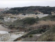 612-012877adf5ee5768191fbd6321d77199jpg