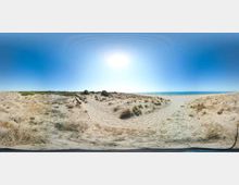 49804-photo-sam-101-0775-spiaggia-castel-porziano-jpgjpg